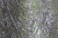 Barton On The Heath fibreglass roof work